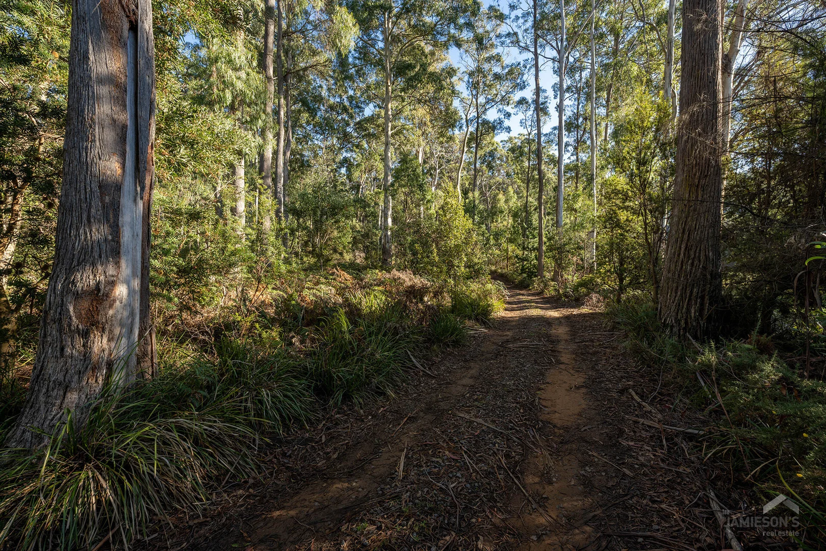 Additional image 12 of Weetah Road, Weetah TAS 7304