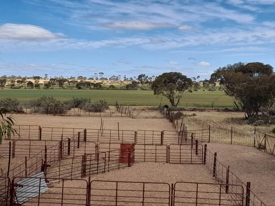 Additional image 10 of Lot 1, 905 Ngallo Road, Carina VIC 3512