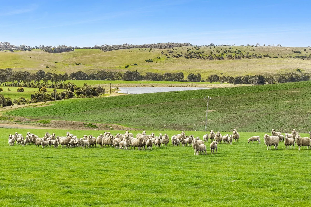 Additional image 7 of 2/223 Bakers Road, Russells Bridge VIC 3331