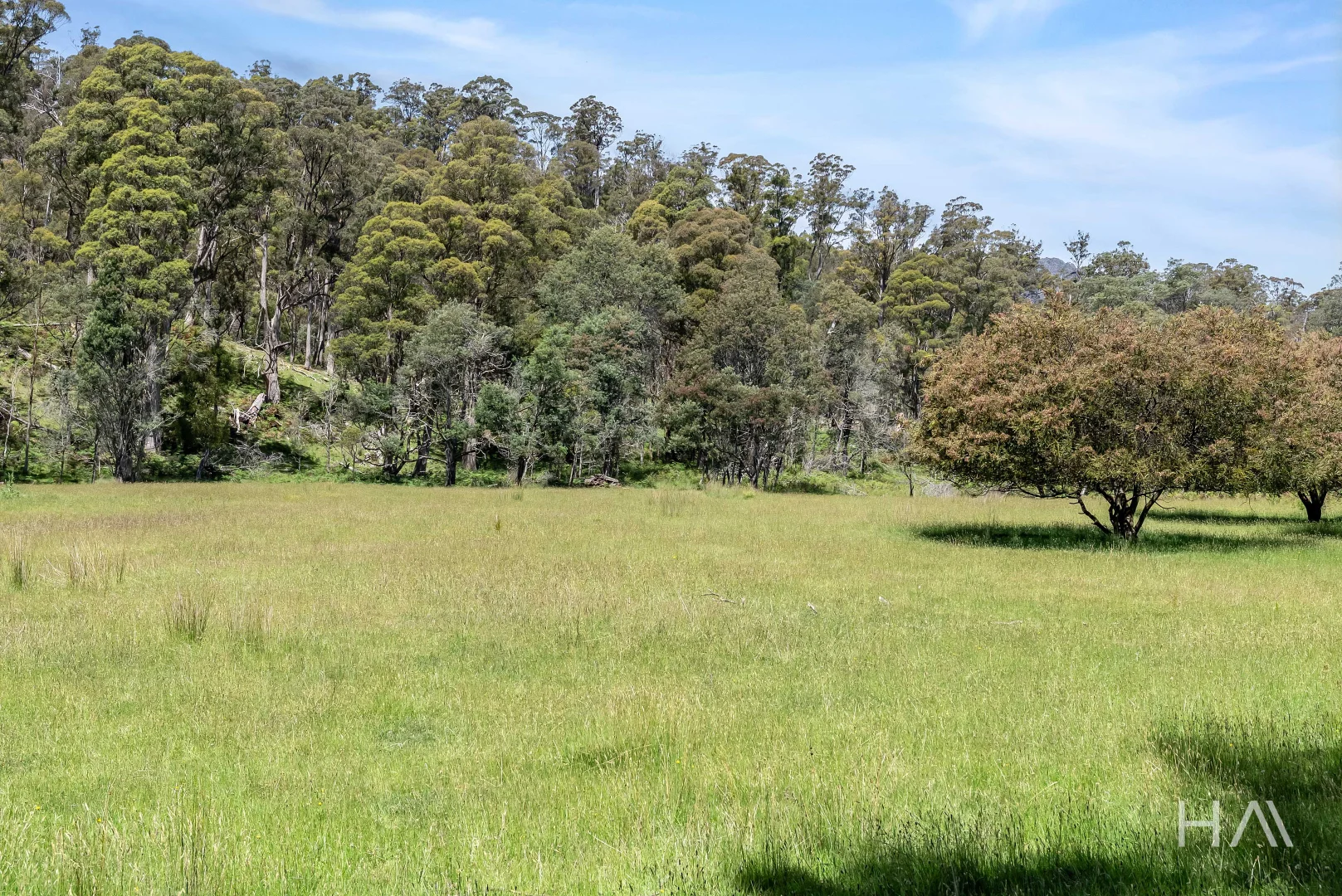 Additional image 8 of English Town Road, Deddington TAS 7212