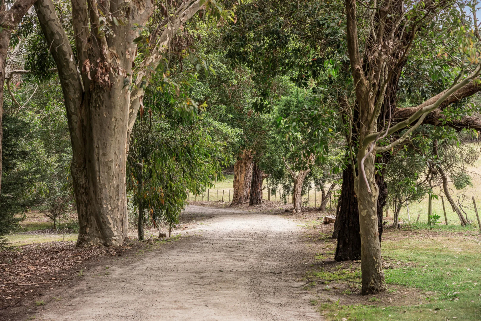 Additional image 17 of 350 Barkers Road, Main Ridge VIC 3928
