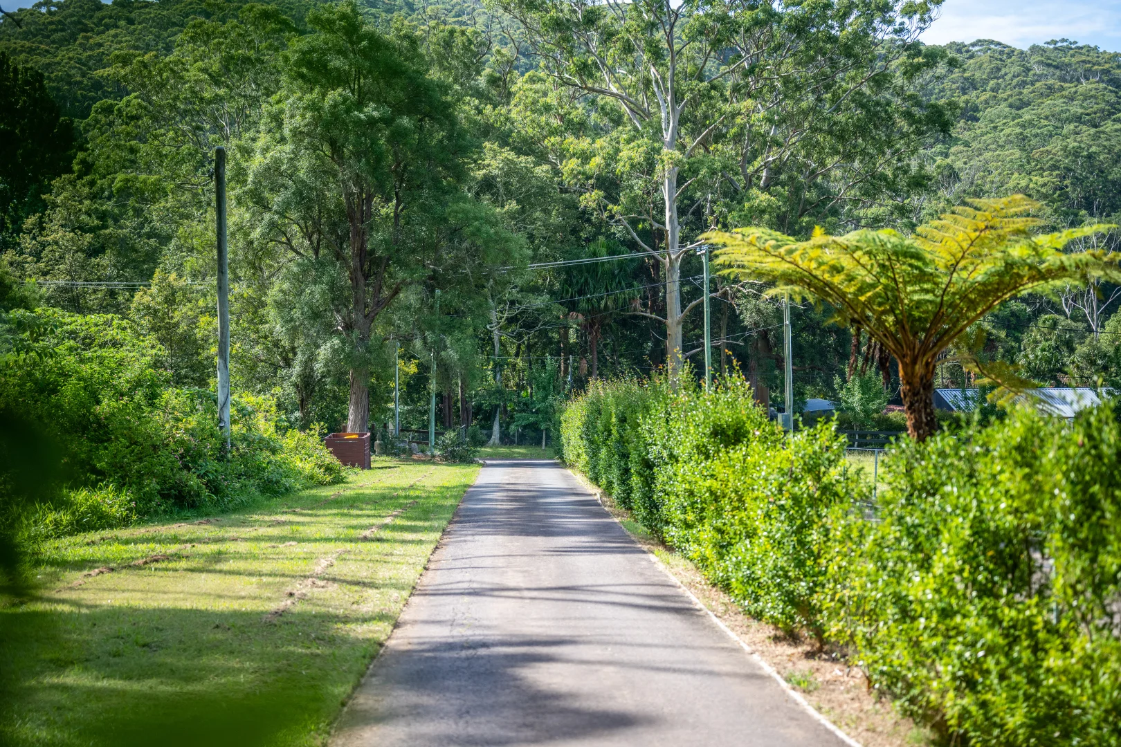 Additional image 29 of 306 Oak Road, Matcham NSW 2250