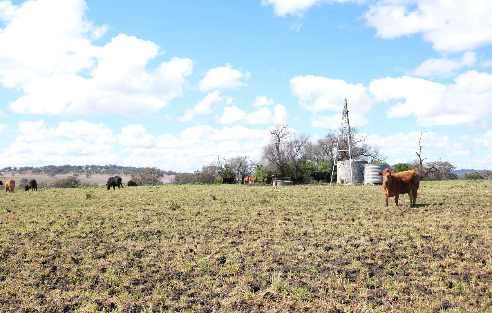 Additional image 4 of 154 Delungra Bypass Road, Inverell NSW 2360
