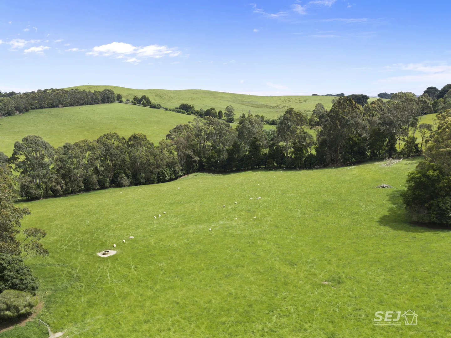 Additional image 10 of 105 Holmes Road, Mardan VIC 3953