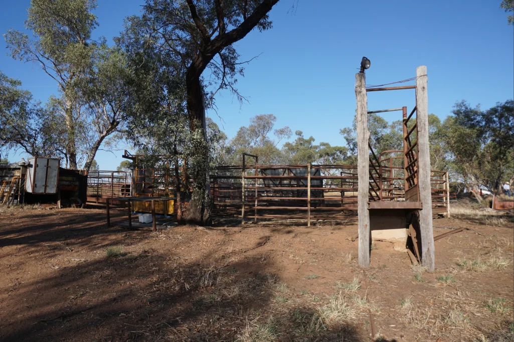 Additional image 8 of 603 Charcoal Tank Road, West Wyalong NSW 2671