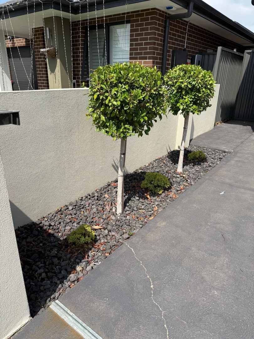 Additional image 4 of 6 Carey St, Marsden Park NSW 2765