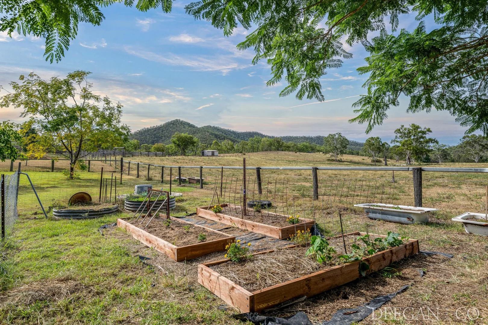 Additional image 30 of 501 Glenhowden Road, Colinton QLD 4314