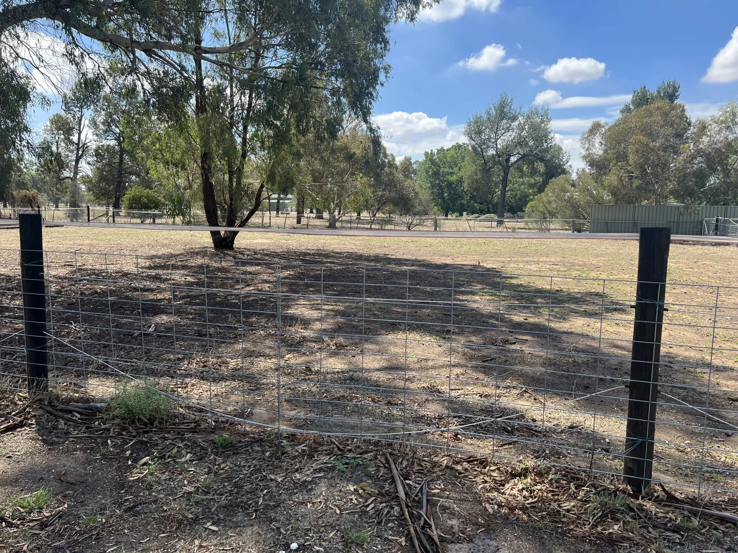 Additional image 26 of 32 Racecourse Road, Berrigan NSW 2712