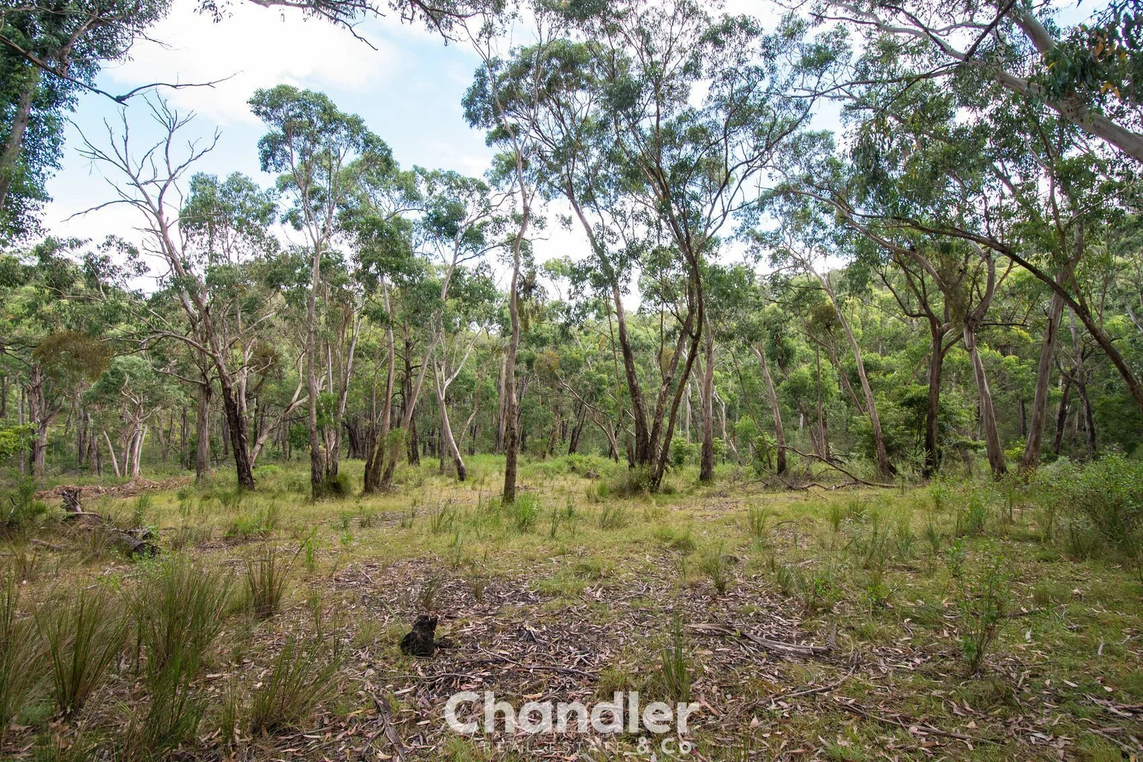 Additional image 25 of 28 Maskells Hill Road, Selby VIC 3159