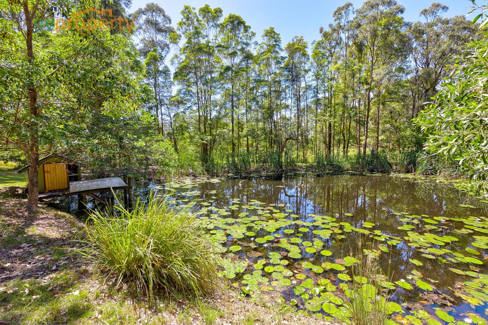 Additional image 5 of 255 Stuarts Point Road, Barraganyatti NSW 2441