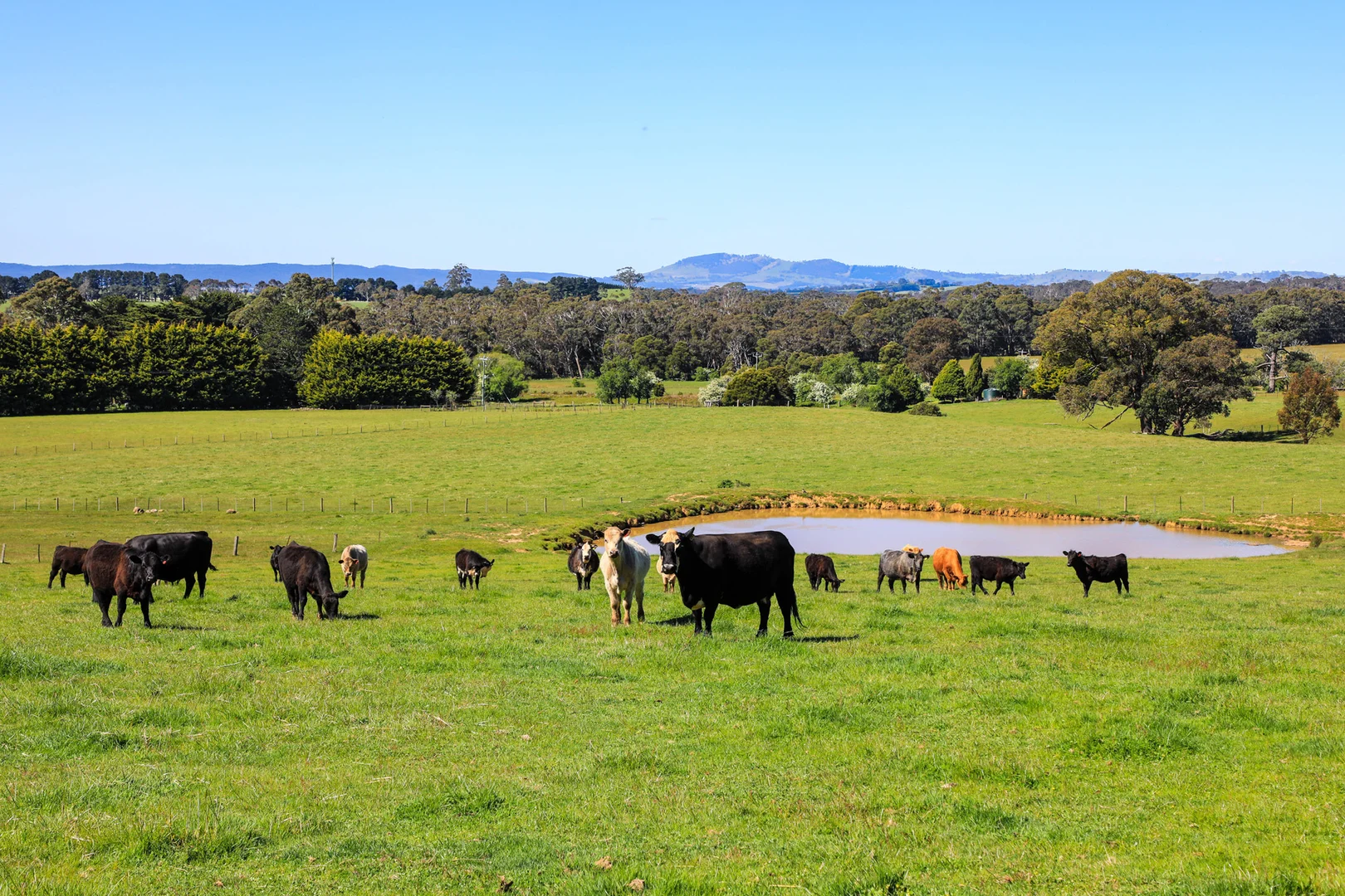 Additional image 7 of 154 Straws Lane, Hesket VIC 3442