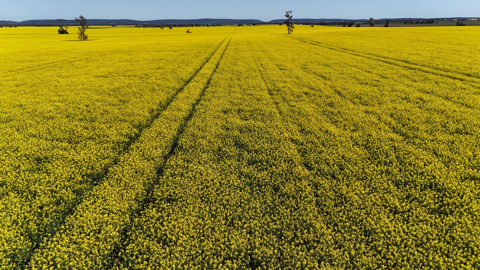 Additional image 22 of 349 Warregal Road, Parkes NSW 2870