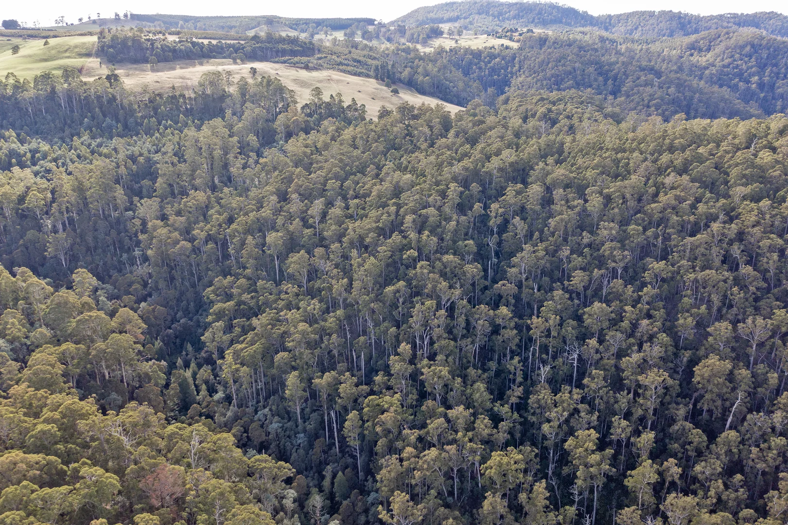 Additional image 10 of Wilmot TAS 7310