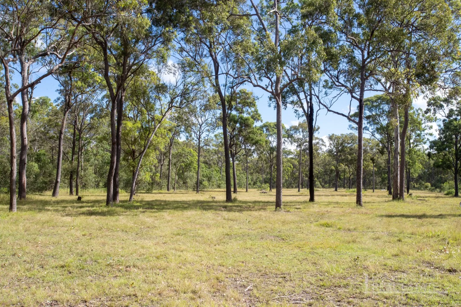 Additional image 9 of 51 Old Coach Road, Oakhurst QLD 4650