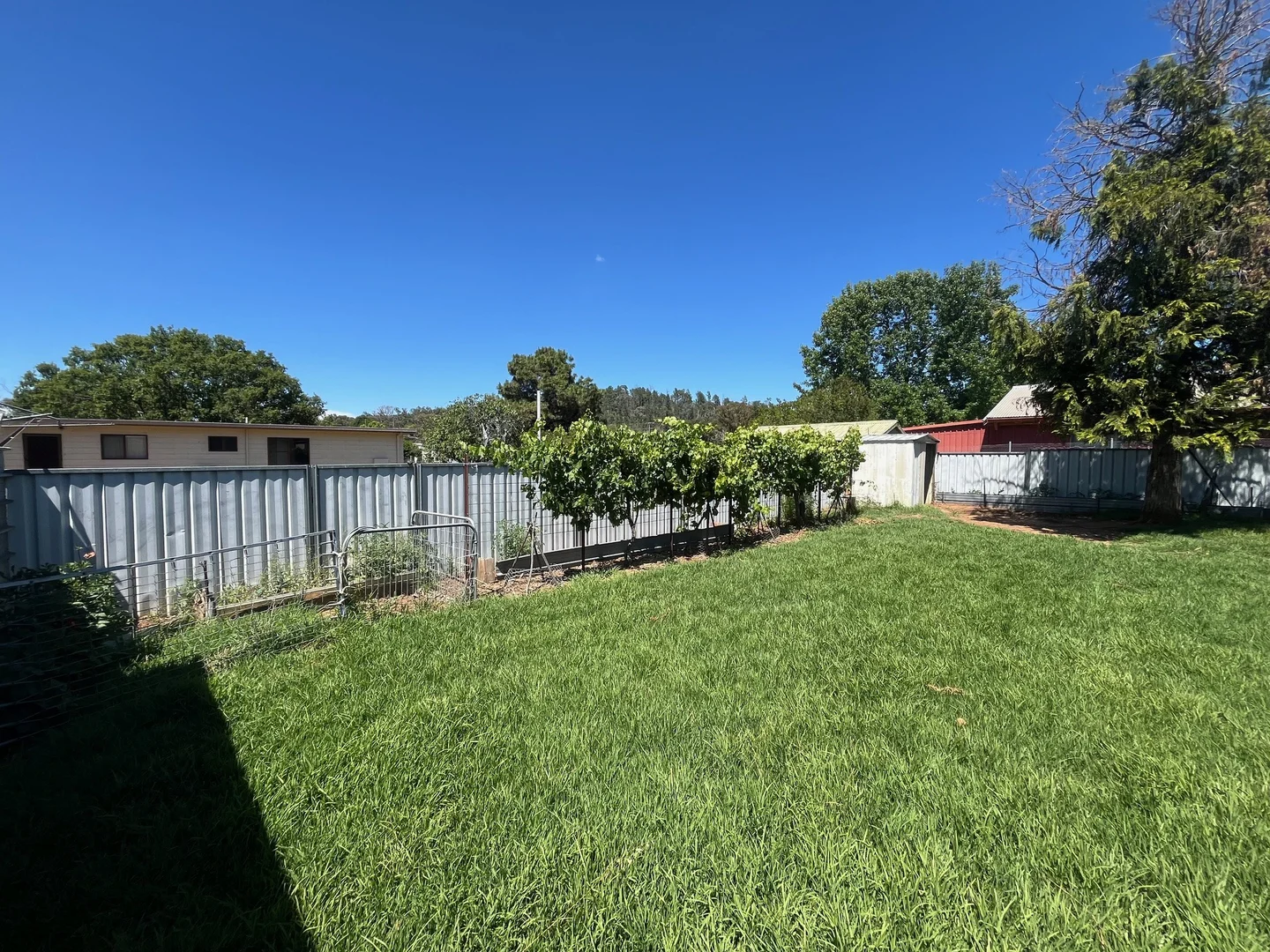 Additional image 15 of 20 Barker Street, Coonabarabran NSW 2357