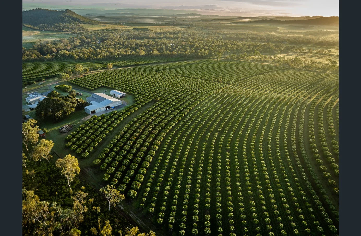 85 Schincariol Road, Dimbulah QLD 4872