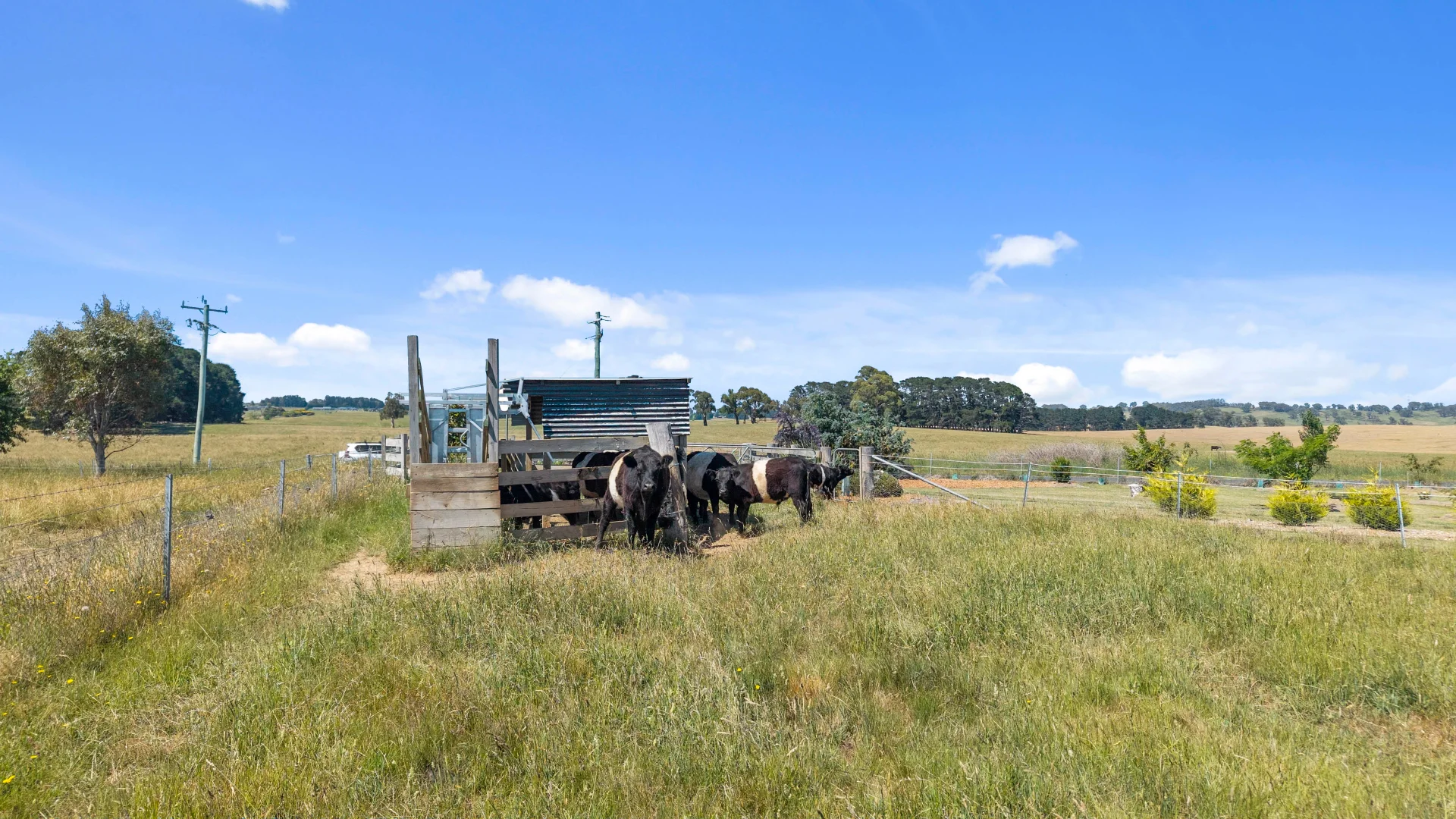 Additional image 9 of 32 Humphries drive, Oberon NSW 2787