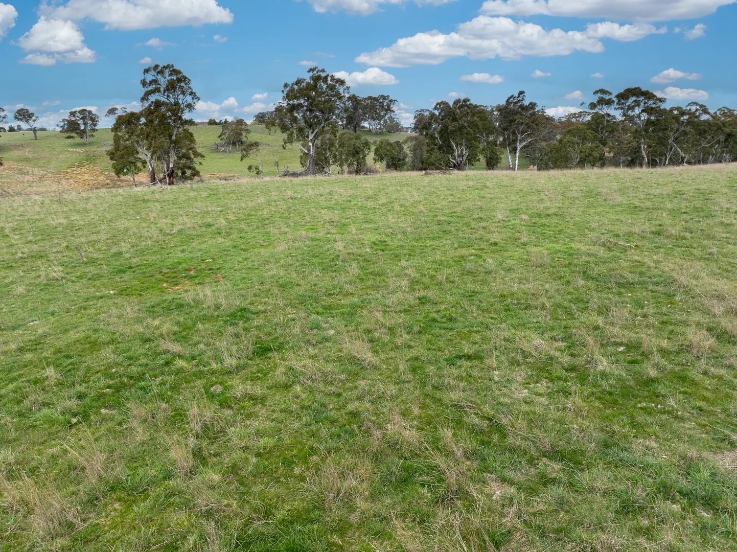 Additional image 16 of 584 Huntley Road, Orange NSW 2800