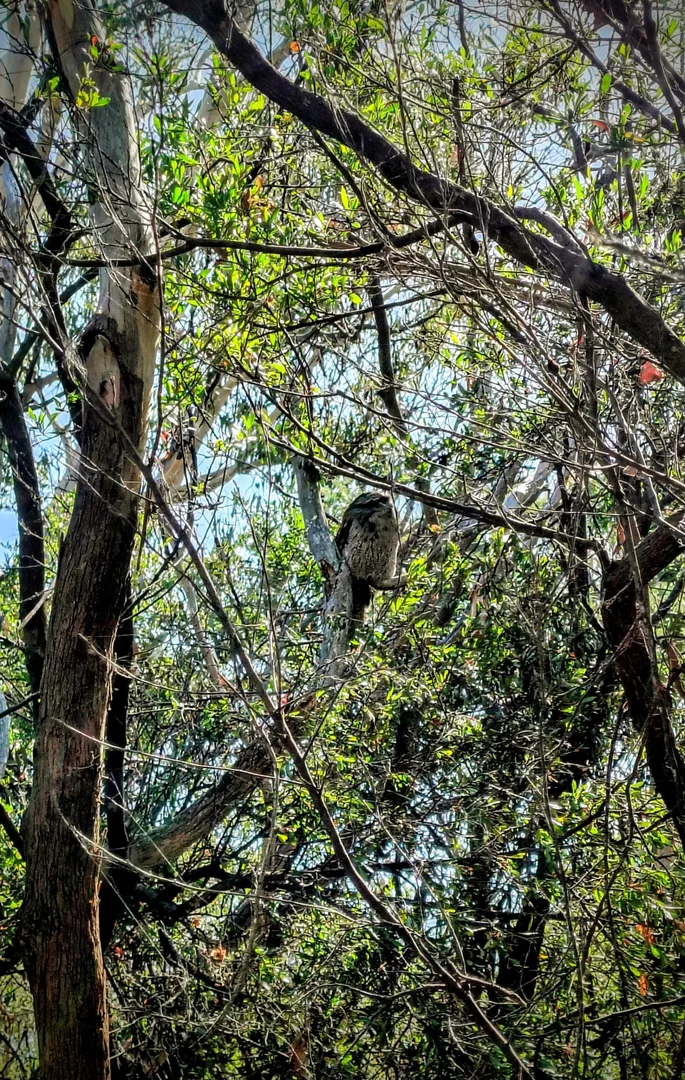 Additional image 15 of 12-14 Church street, Dodges Ferry TAS 7173