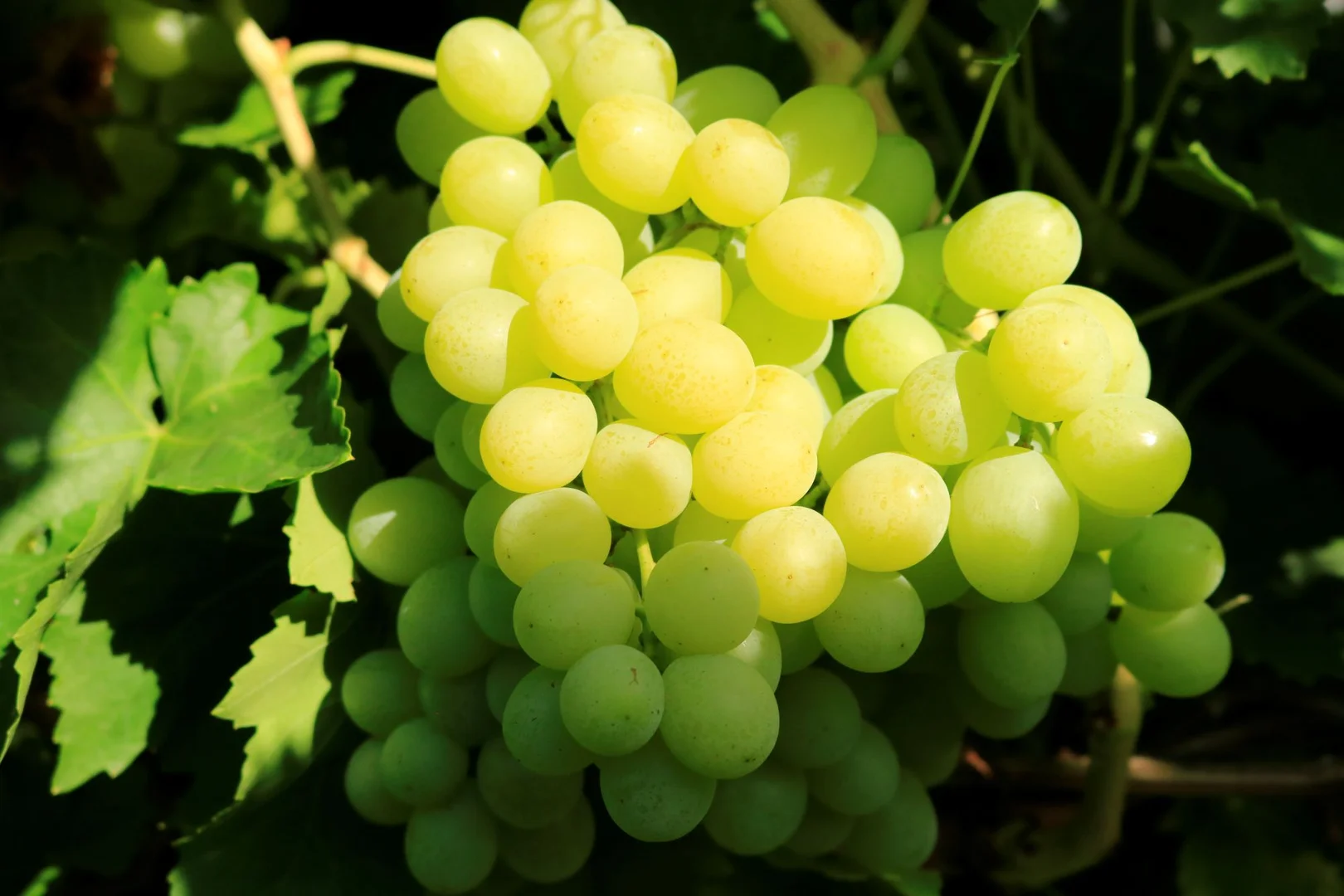 Additional image 11 of 700 Coonambula Road,, Riverleigh QLD 4626