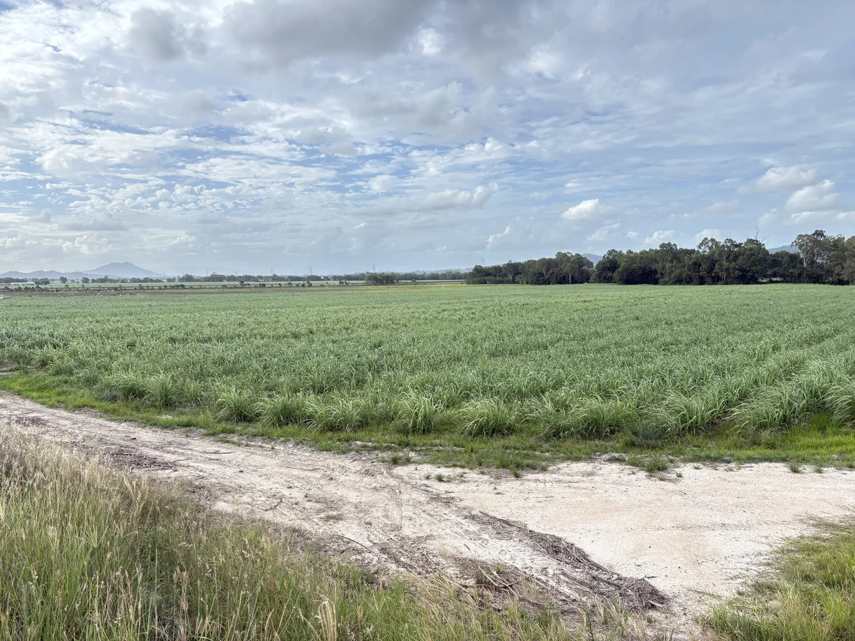 Additional image 6 of 2 Oakenden Sarina Road, Oakenden QLD 4741