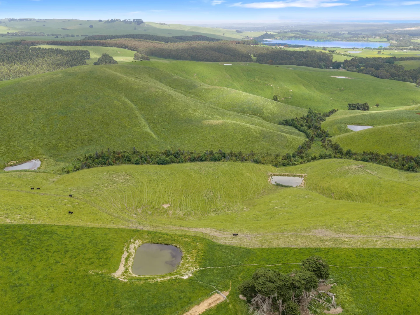 Additional image 7 of 1096 Grantville - Glen Alvie Road, Almurta VIC 3979