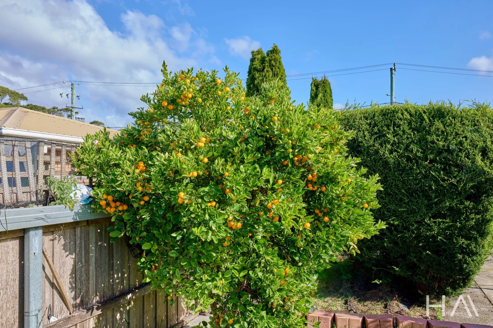 Additional image 21 of 8 Groom Street, St Helens TAS 7216