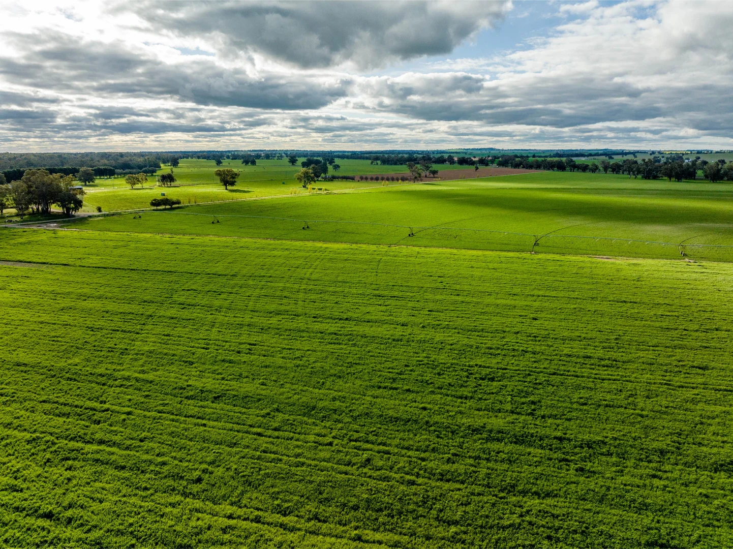 Additional image 8 of 1871 Old Narrandera Road, Euberta NSW 2650