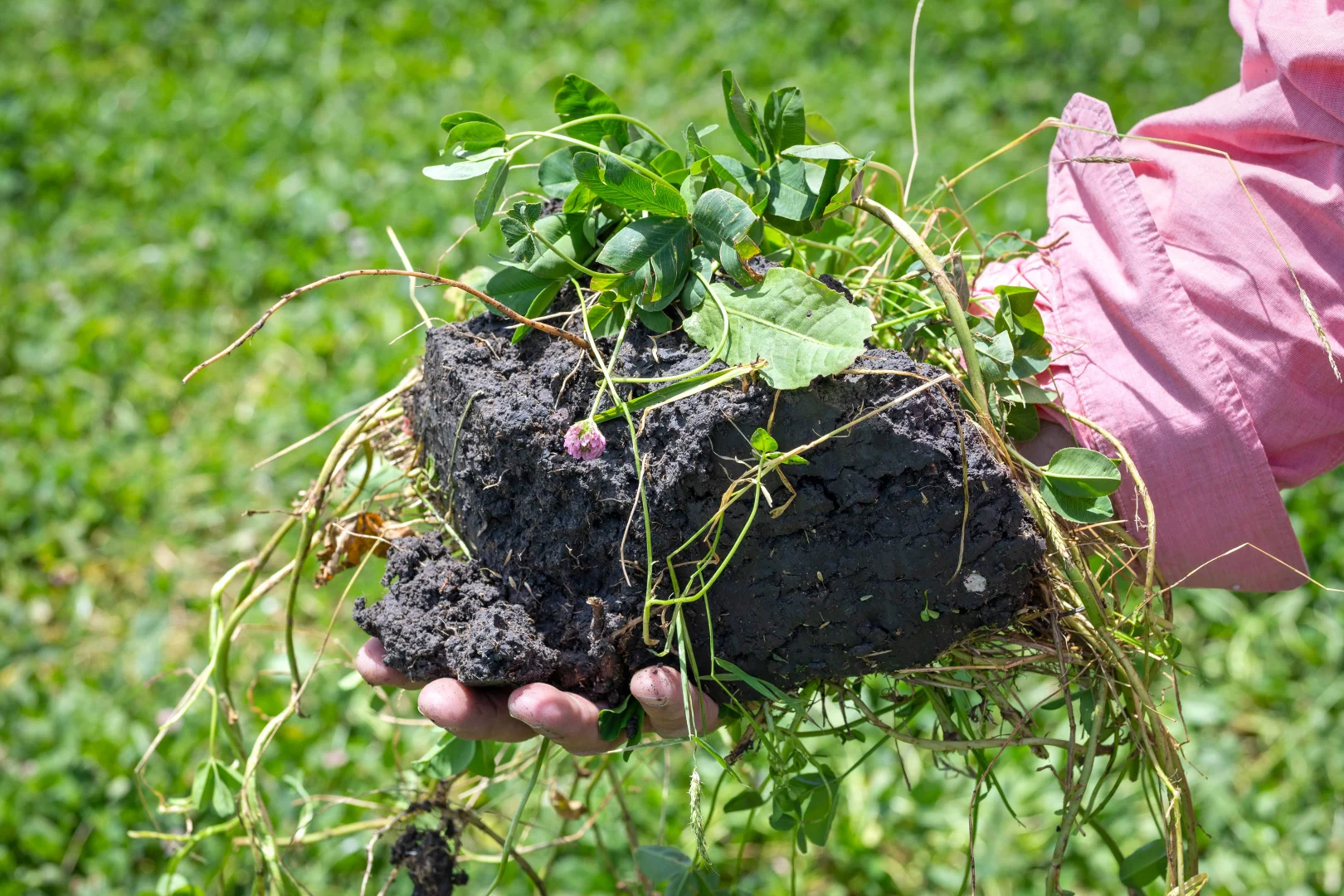 Additional image 2 of Lot 55 Princes Highway, Millicent SA 5280