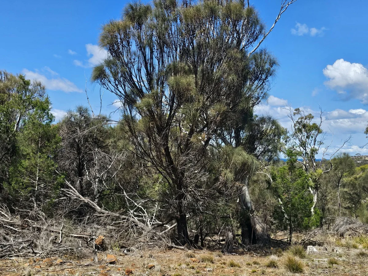 Additional image 9 of 3/5 Addison Street, Swansea TAS 7190