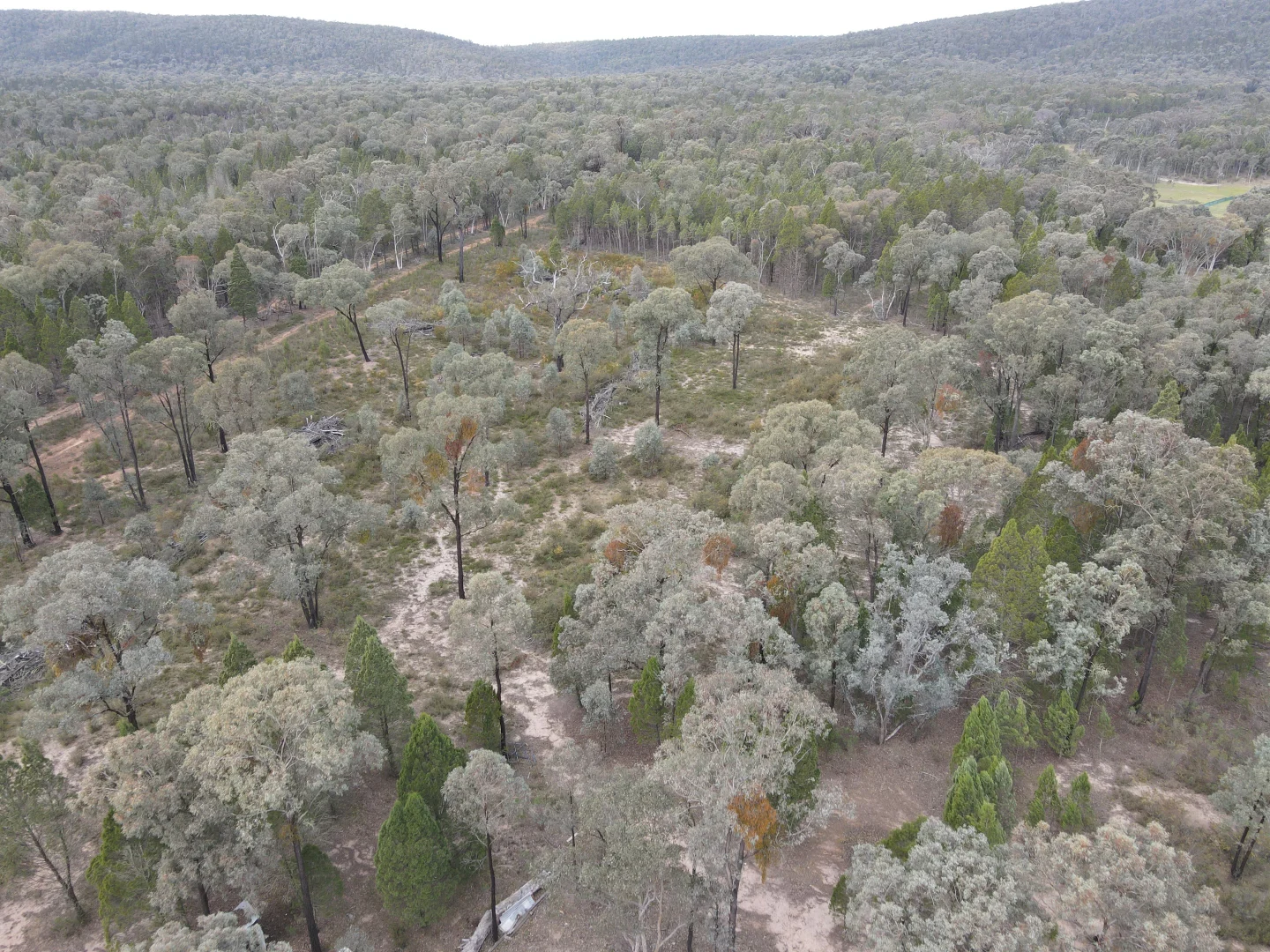 Additional image 19 of 1657 Kangarooby Road, Gooloogong NSW 2805