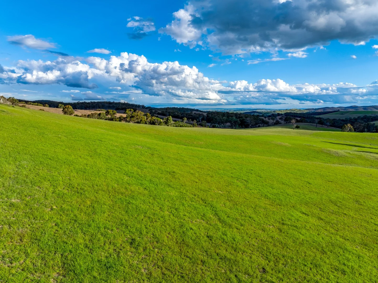 Additional image 6 of 1452 Crookwell Road, Goulburn NSW 2580