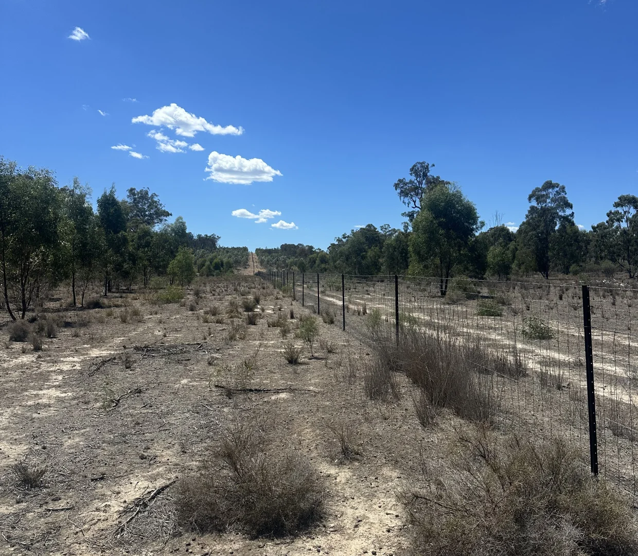 Additional image 10 of Mosquito Creek Road, Inglewood QLD 4387