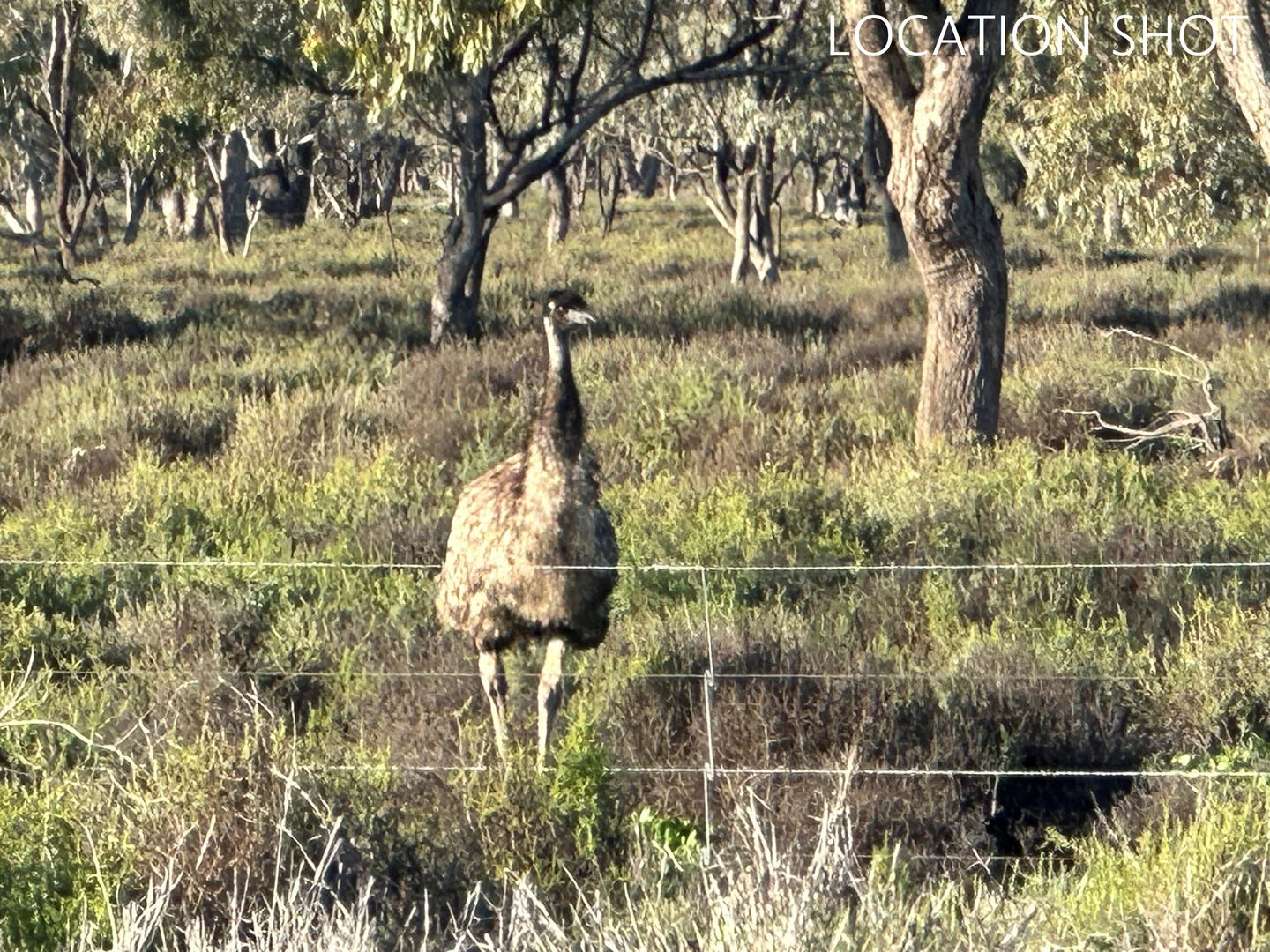 Additional image 6 of 13 Culgoa Street, Brewarrina NSW 2839