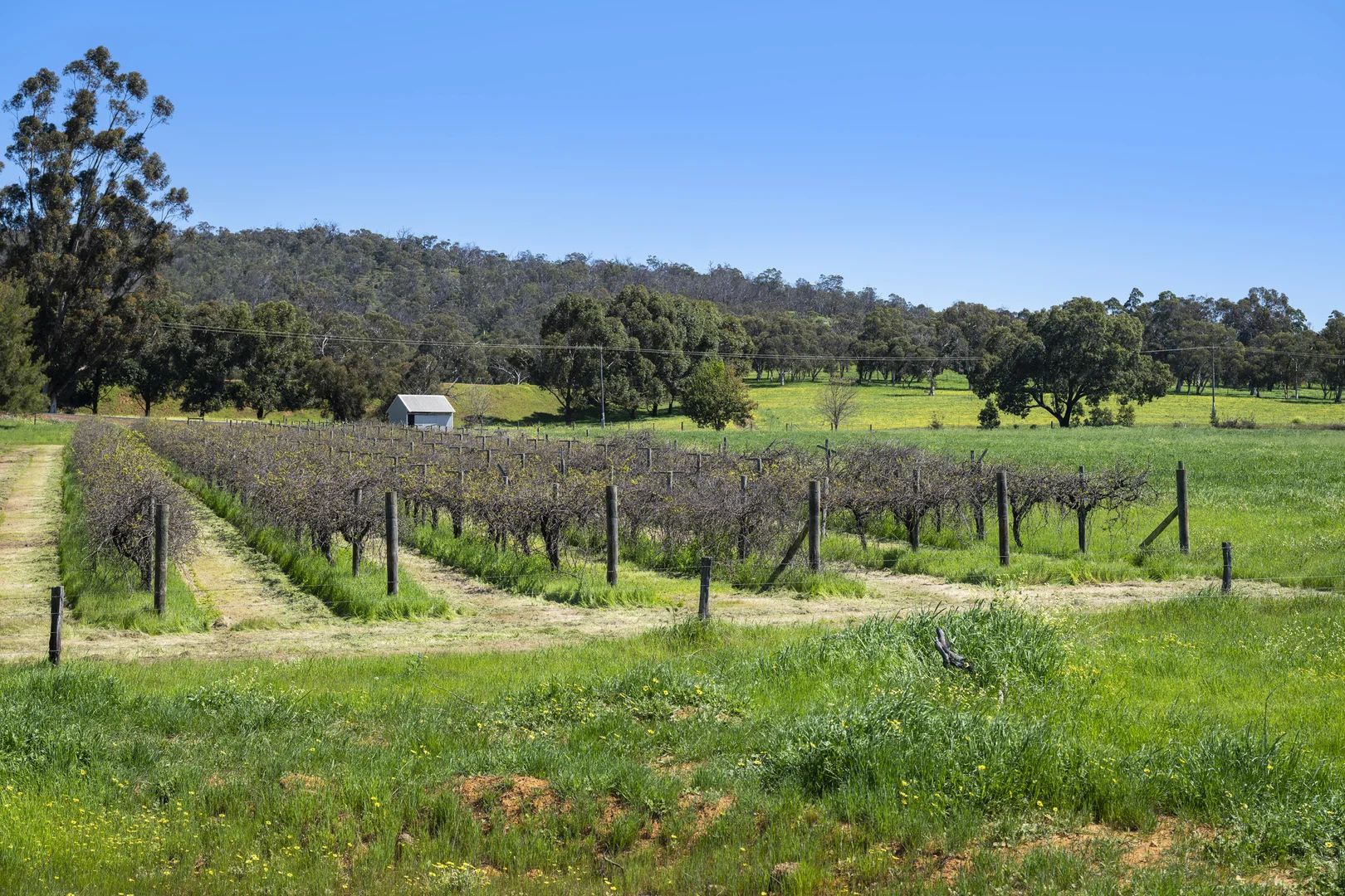 Additional image 10 of 54 Chittering Valley Road, Lower Chittering WA 6084