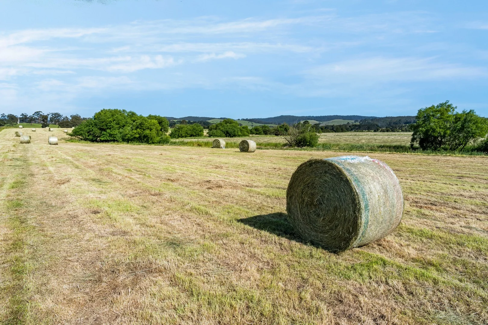 Additional image 3 of 1530 Birregurra-Forrest Road, Barwon Downs VIC 3243