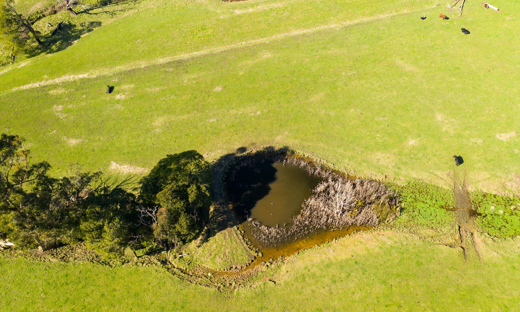 Additional image 32 of Alberton TAS 7263