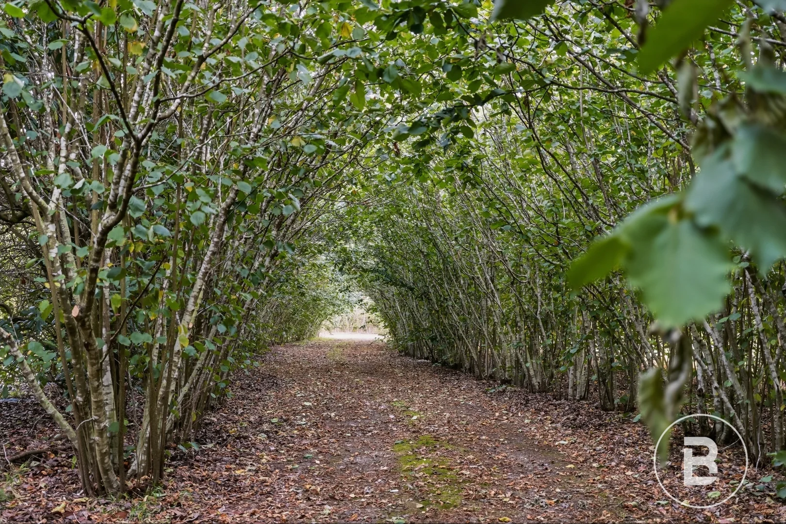 Additional image 27 of 936 Bacchus Marsh Road, Bullengarook VIC 3437