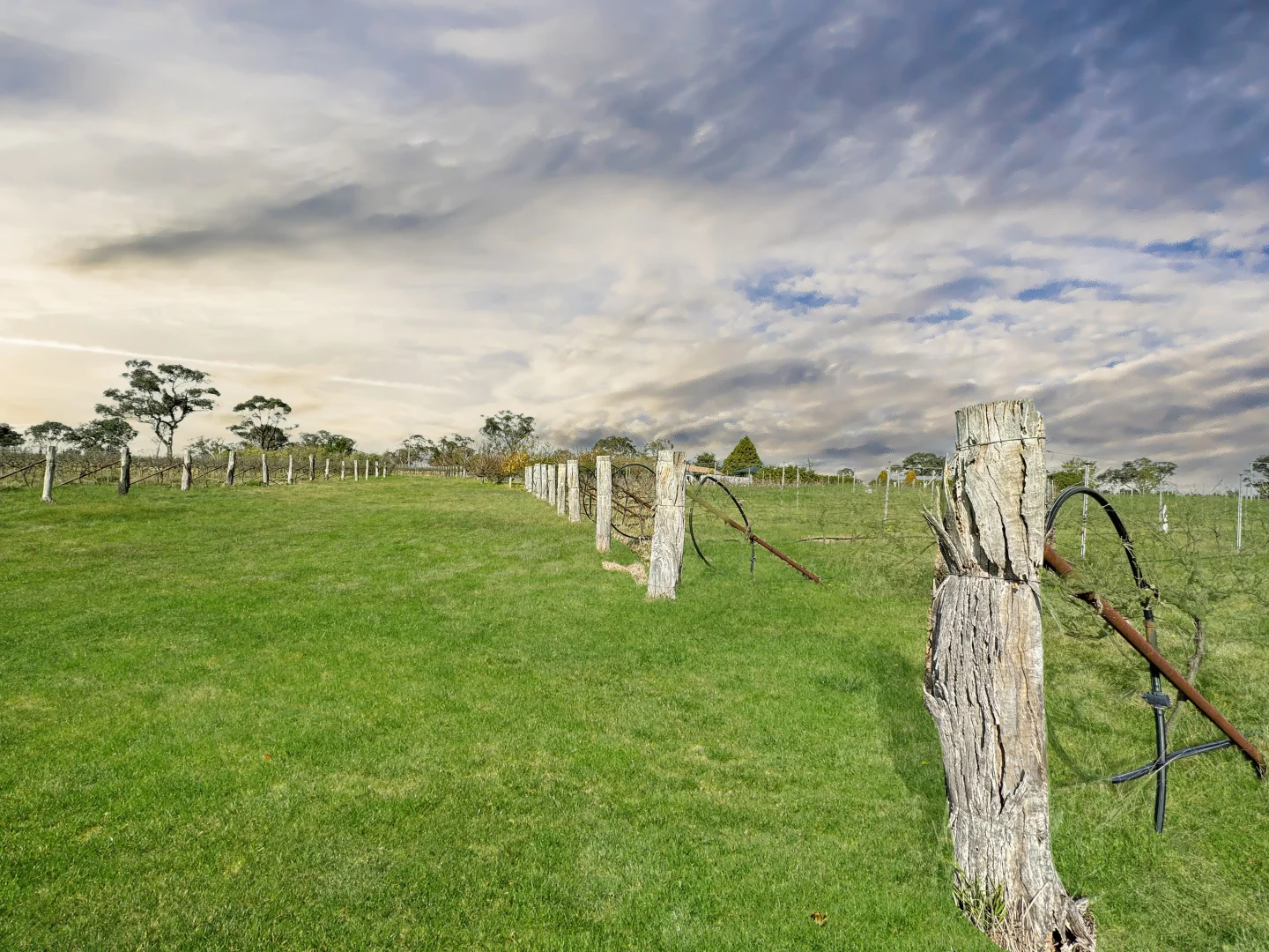 Additional image 20 of 376 Kingstown Road, Uralla NSW 2358