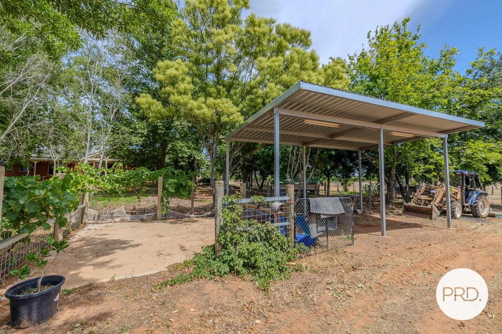 Additional image 24 of 169 Euston Avenue, Irymple VIC 3498