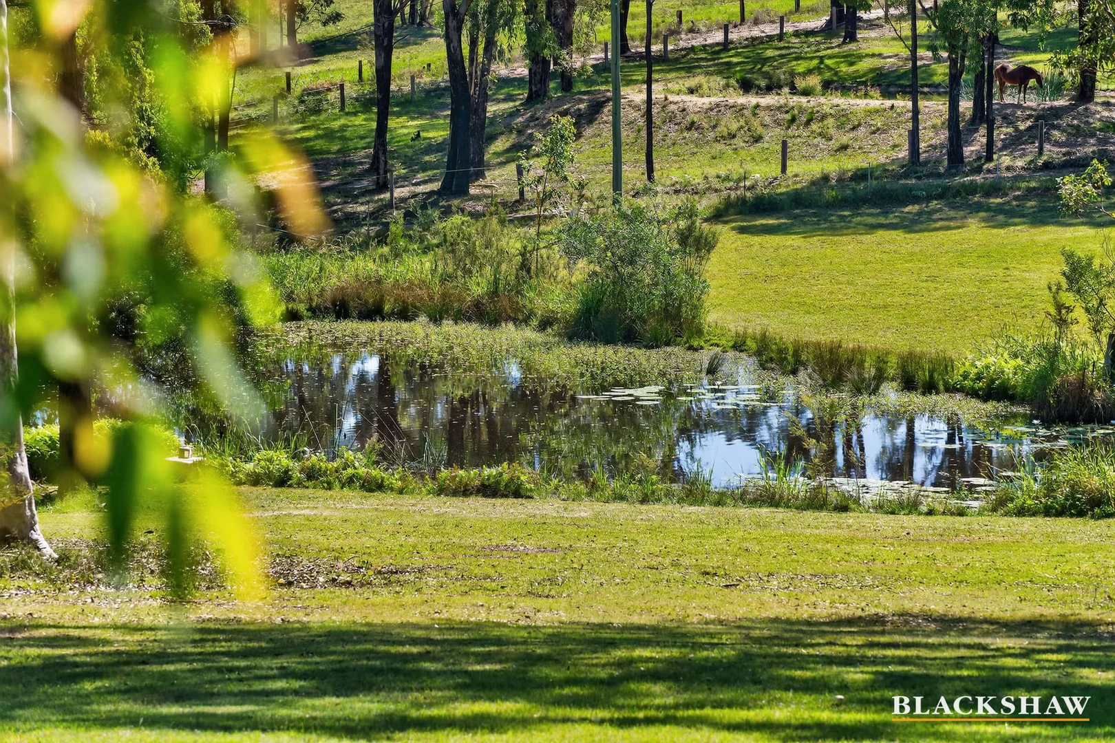 Additional image 32 of 136 Bimbimbie Road, Bimbimbie NSW 2536