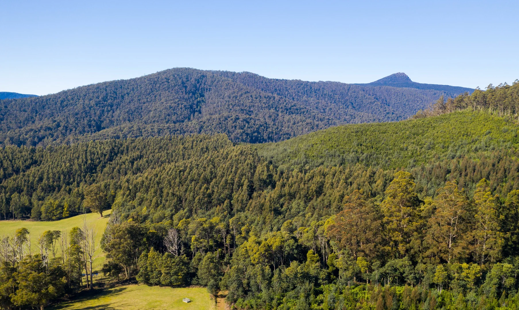 Additional image 22 of Alberton TAS 7263