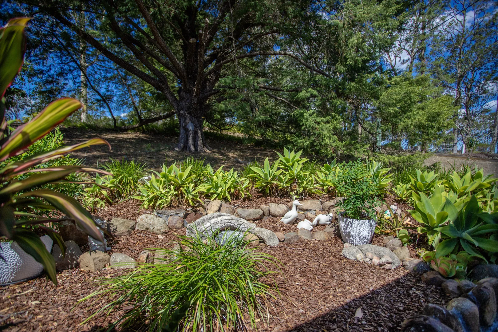 Additional image 24 of 77 Skyline Drive,, Wingham NSW 2429