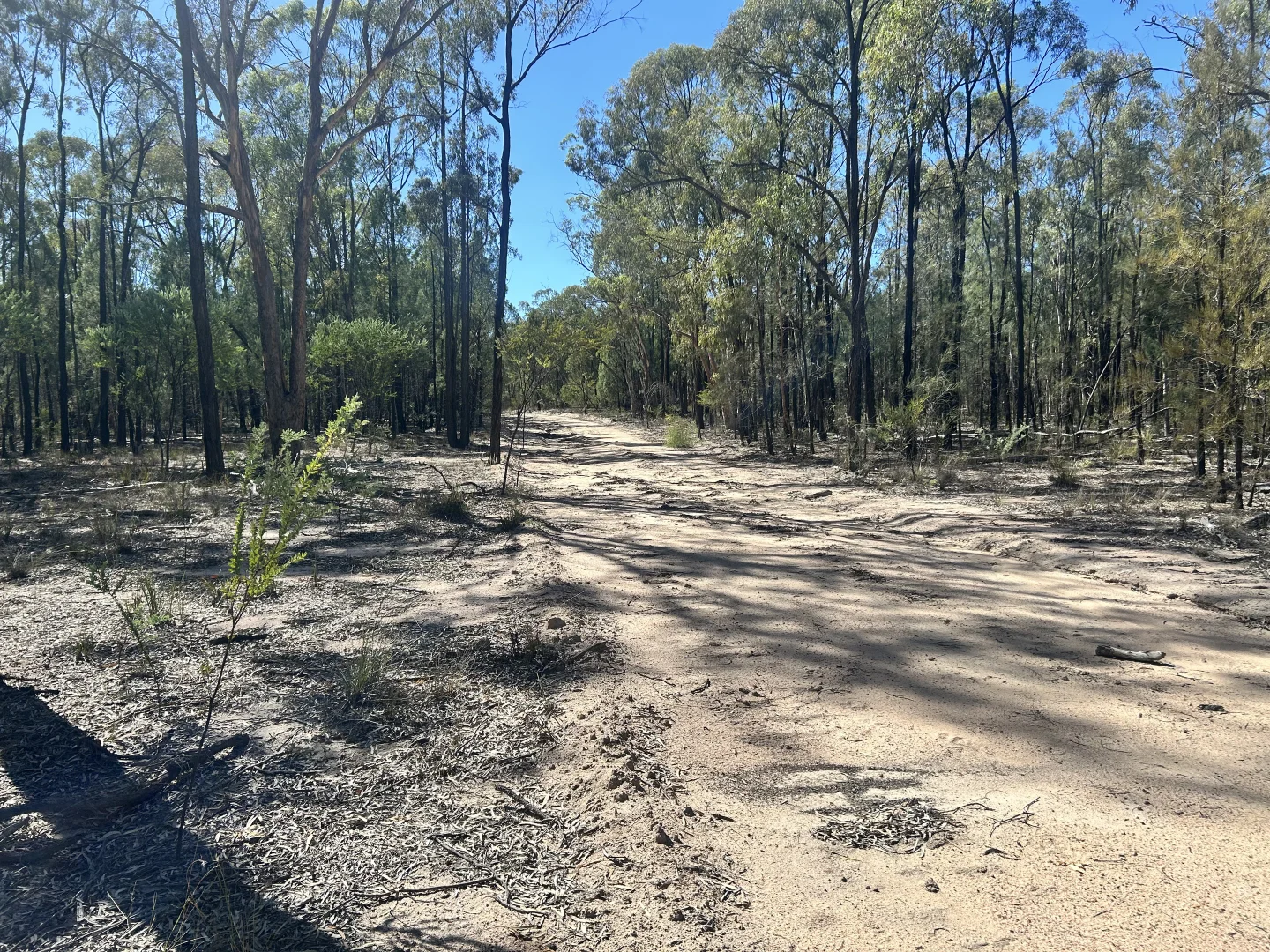 Additional image 12 of Lot 110 Biggs Rd, Coolmunda QLD 4387