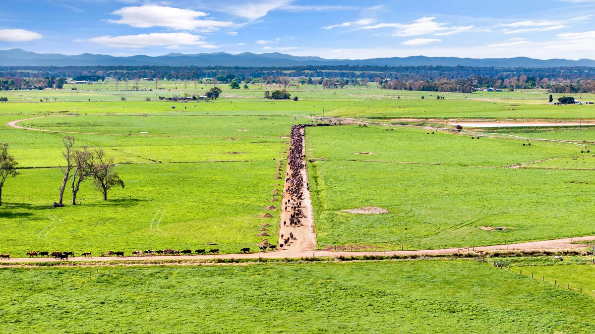 Additional image 17 of 95 Vardys Road, Riverslea VIC 3860