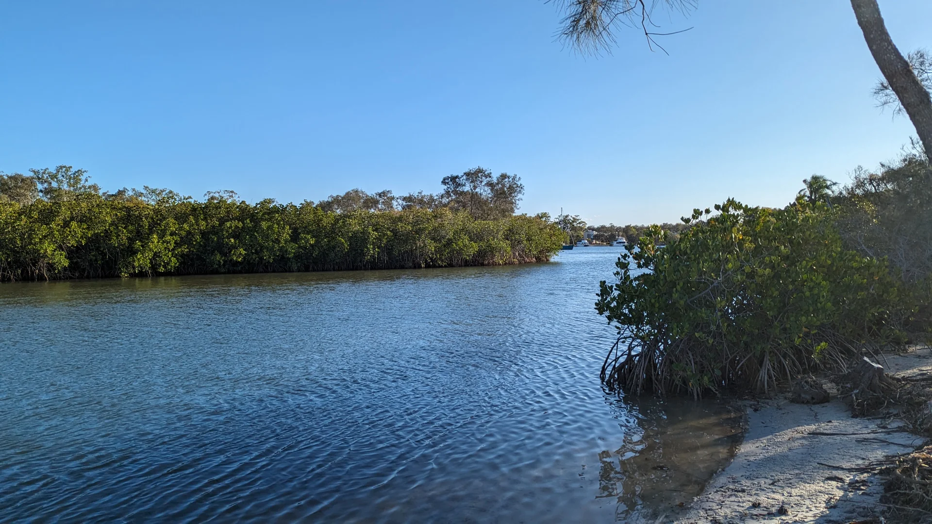 Additional image 19 of 20-74 Noosa River Drive, Noosa North Shore QLD 4565