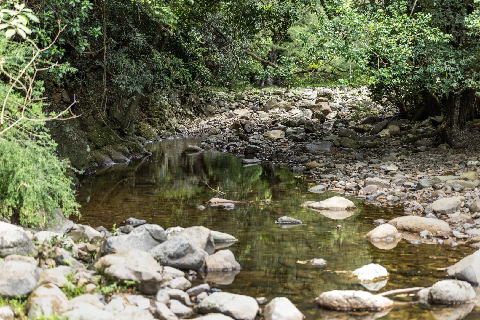 Additional image 9 of 'Franks Farm' Lots 127-129 Free Selectors Road, Foxground NSW 2534