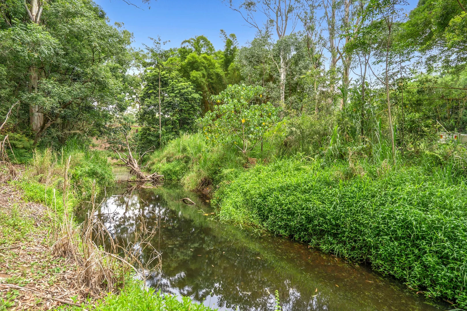 Additional image 24 of 319 Highlands Road, Eudlo QLD 4554