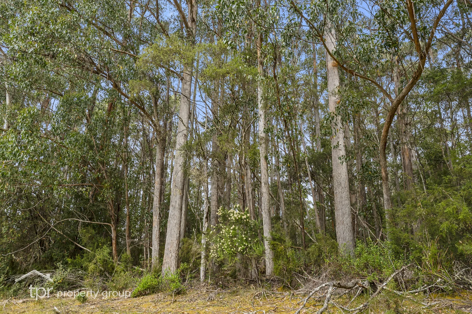 Additional image 14 of 8528 Huon Highway, Southport TAS 7109