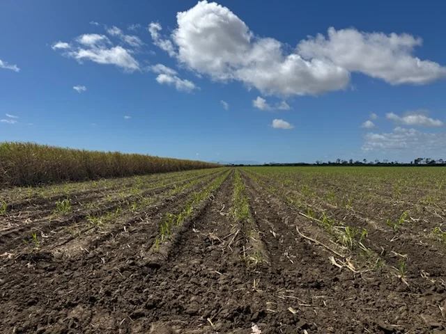 Additional image 12 of 218 Oats Road, Fredericksfield QLD 4806